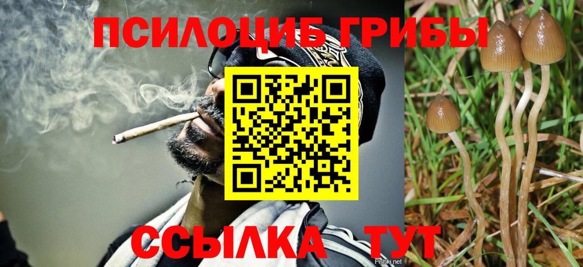 Бирск  Галлюциногенные грибы мухоморы  Вход с VPN 
