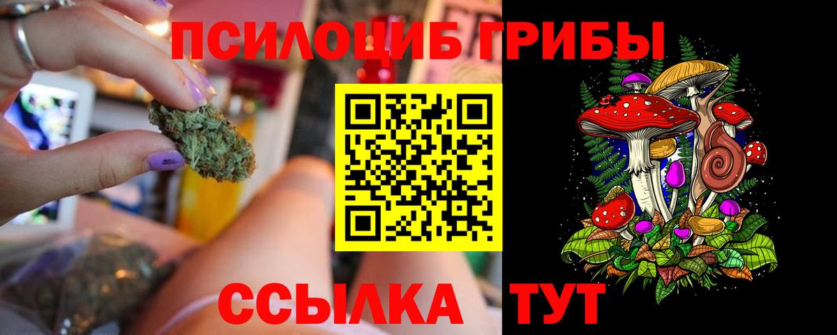 Галлюциногенные грибы Psilocybine cubensis Бирск